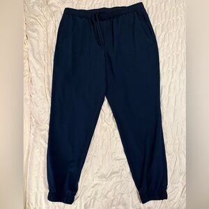 DSG Men's Dark Blue Joggers